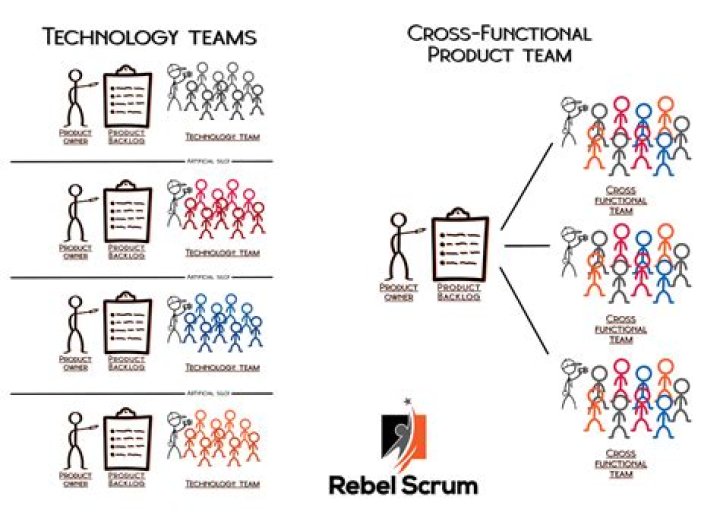 How are Scrum teams organized
