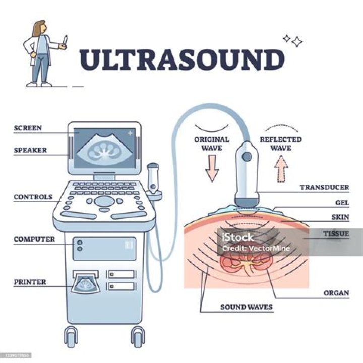 How is an ultrasound absorbed