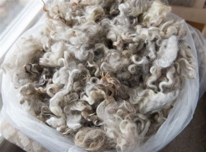 How much is a pound of wool worth