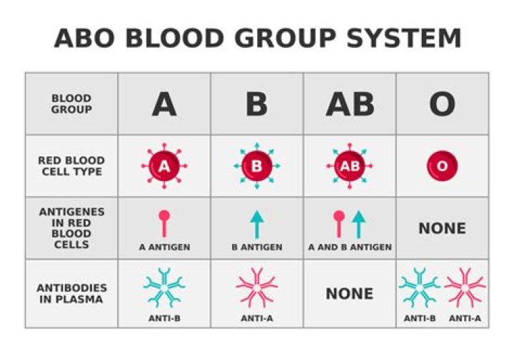 How was blood type discovered